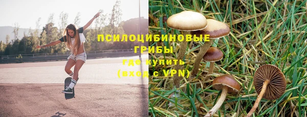 ECSTASY Алексеевка